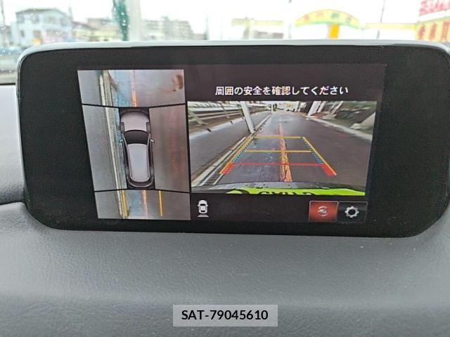 Mazda CX-8 2019-02 8879395-22