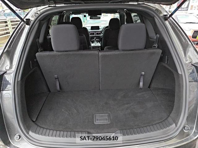 Mazda CX-8 2019-02 8879395-26