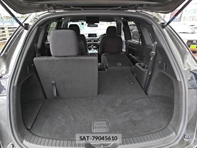 Mazda CX-8 2019-02 8879395-27