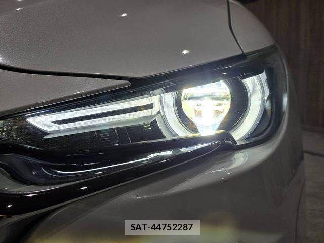 Mazda CX-8 2020-03 8883504-14