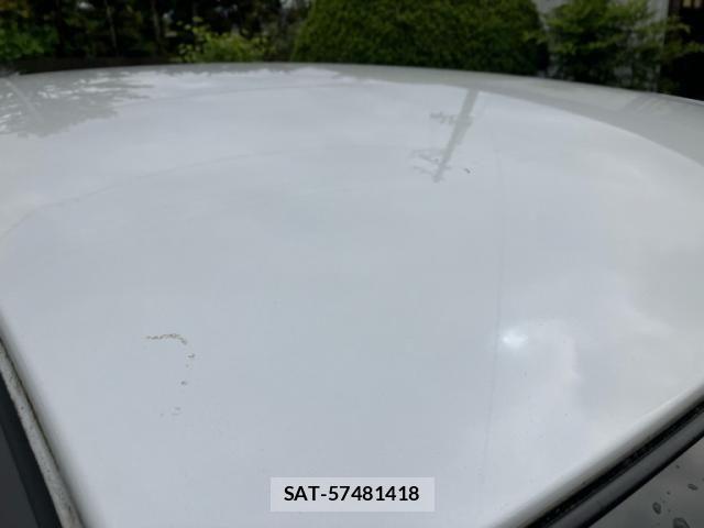 Nissan DAYZ 2016-02 7217207-8