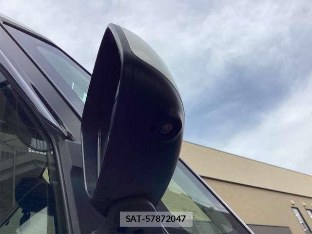 Nissan DAYZ ROOX 2019-08 6904185-14