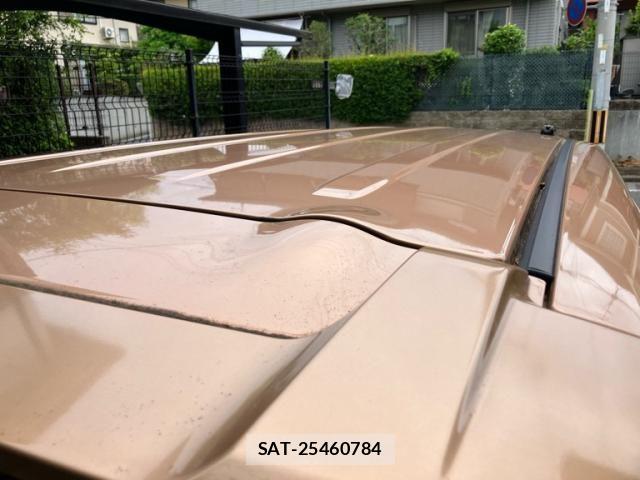 Nissan DAYZ ROOX 2015-11 7326687-9
