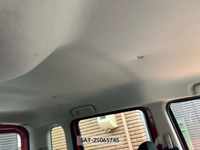 Nissan DAYZ ROOX 2014-03 8828696-9