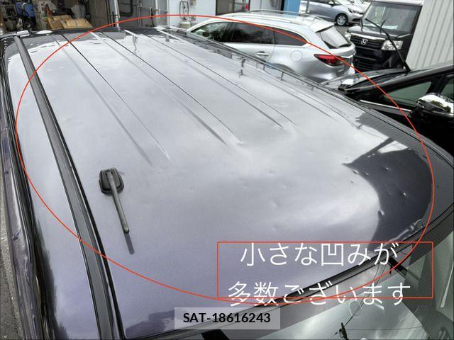 Nissan DAYZ ROOX 2015-06 8828694-13