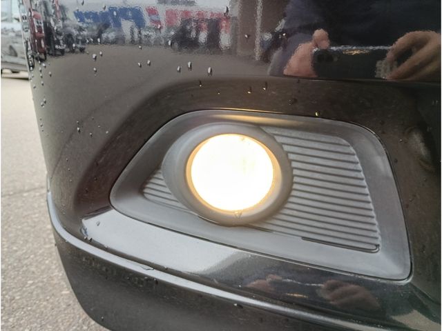Mitsubishi DELICA 2018-02 3904962-18