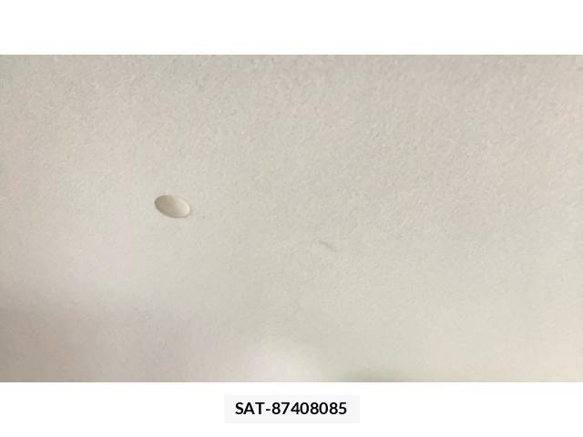 Mitsubishi DELICA 2012-07 8658743-18