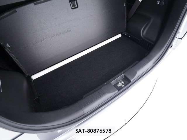 Mitsubishi DELICA 2018-06 8098871-19