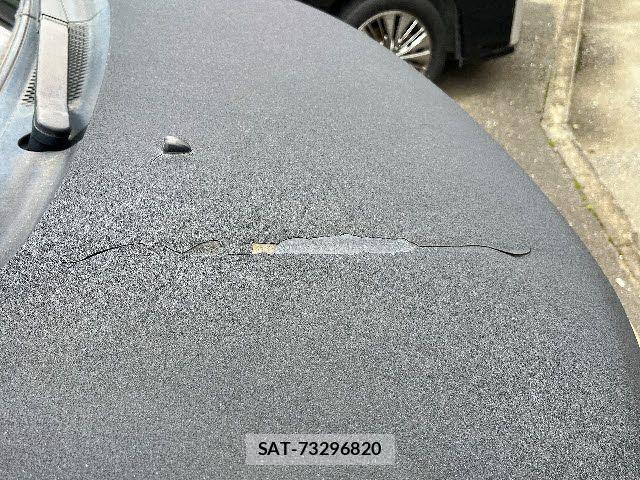 Mitsubishi DELICA 2007-11 7391929-16