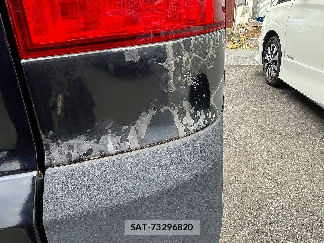 Mitsubishi DELICA 2007-11 7391929-17