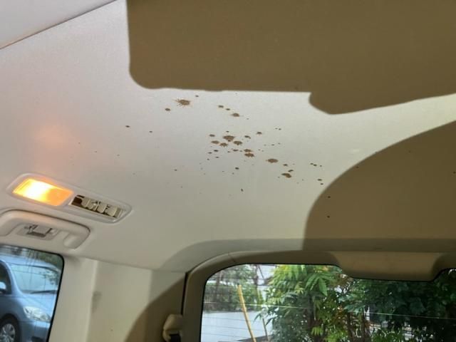 Mitsubishi DELICA 2008-03 1472052-26