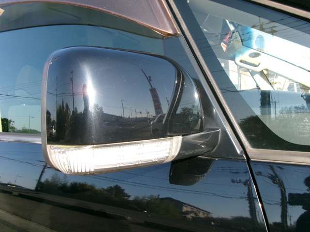Mitsubishi DELICA 2010-09 1544522-17