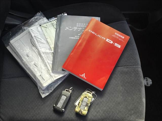 Mitsubishi DELICA 2011-07 3767823-19