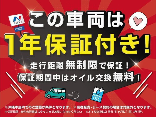 Mitsubishi DELICA 2024-06 3933869-2