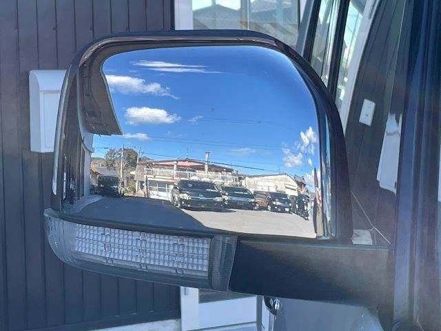 Mitsubishi DELICA 2018-11 4392184-28