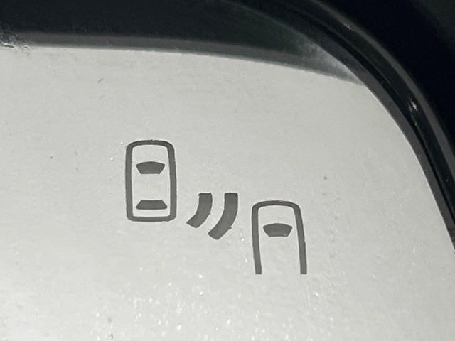 Mitsubishi DELICA 2024-08 4380889-4