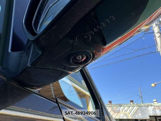 Mitsubishi DELICA 2024-06 6904283-12