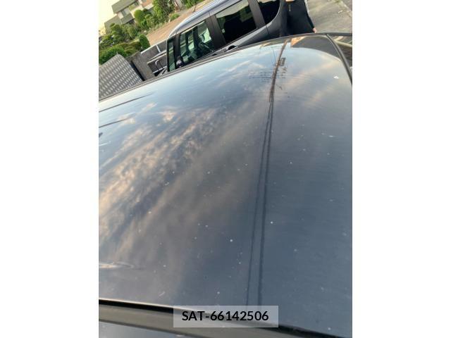 Mitsubishi DELICA 2008-02 7217485-17