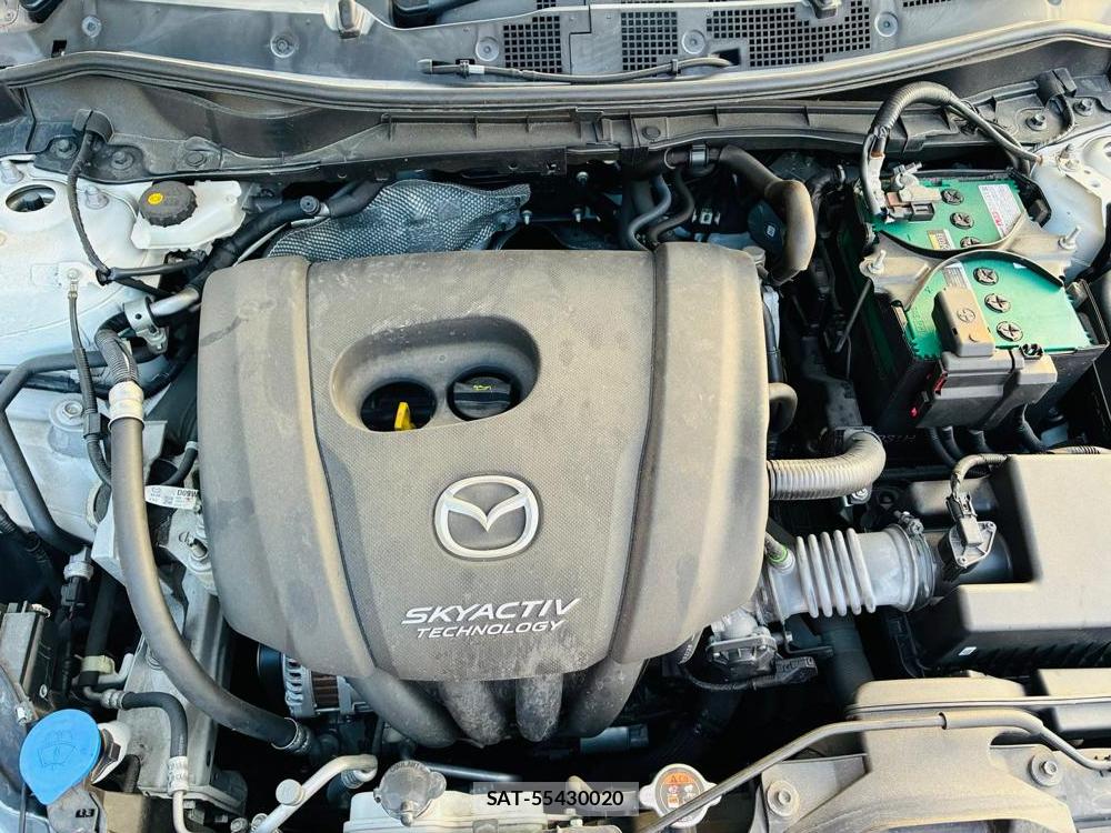 Mazda DEMIO 2019 7465519-37