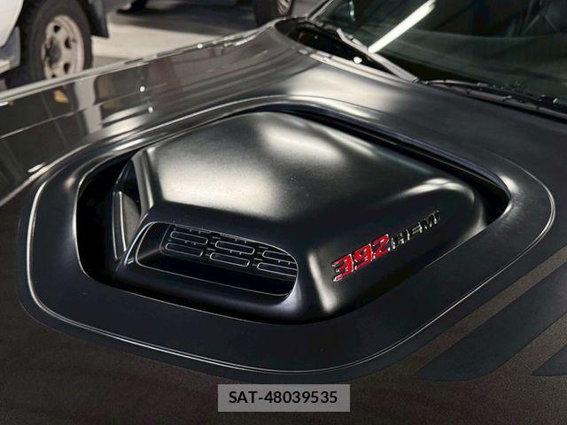 Dodge CHALLENGER 2018-06 7357576-9