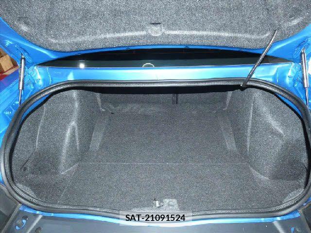 Dodge CHALLENGER 2019-03 7391986-18