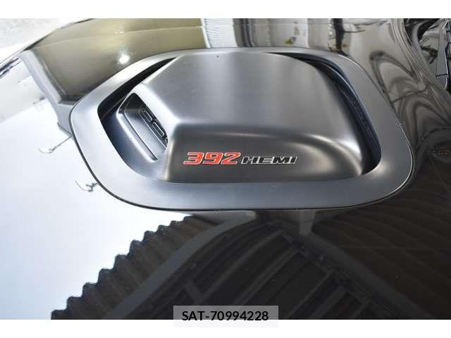 Dodge CHALLENGER 2021-07 8035311-7