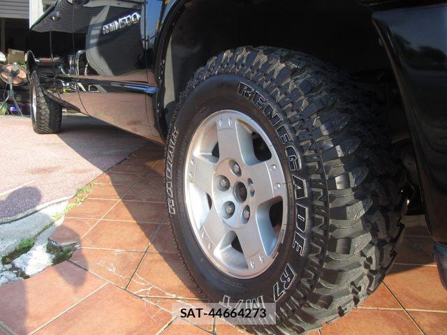 Dodge RAM 2005-03 8073611-17