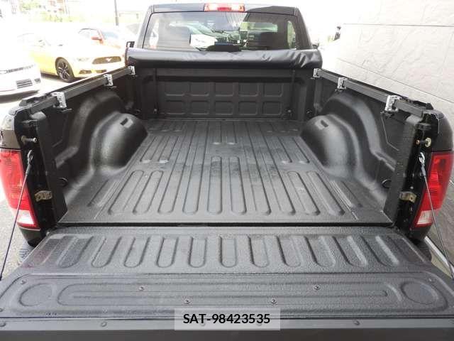 Dodge RAM 2014-10 8658816-12