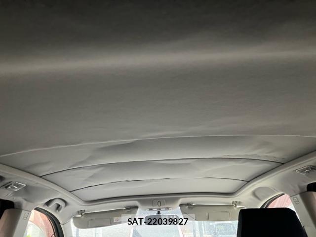 Nissan DUALIS 2010-09 7217733-9