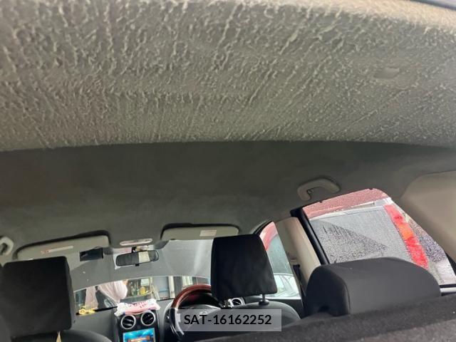 Nissan DUALIS 2008-01 8658820-10