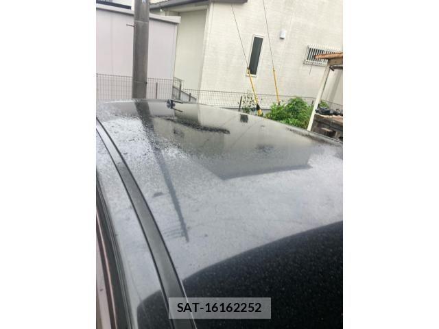Nissan DUALIS 2008-01 8658820-8