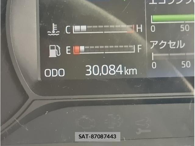 Hino DUTRO 2019-10 7454069-29