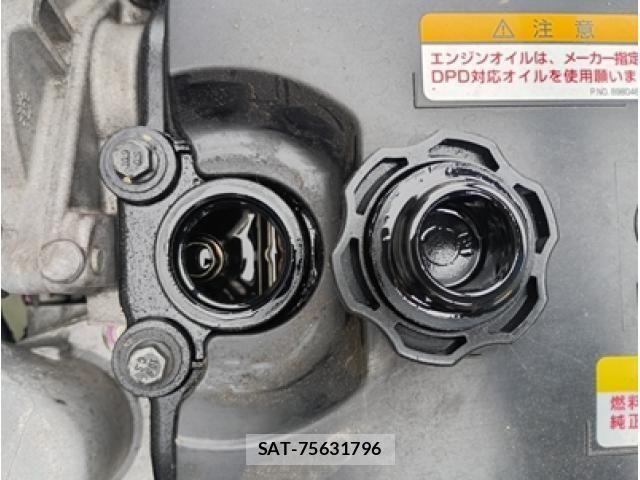 Isuzu ELF TRUCK 2020-05 6004622-21