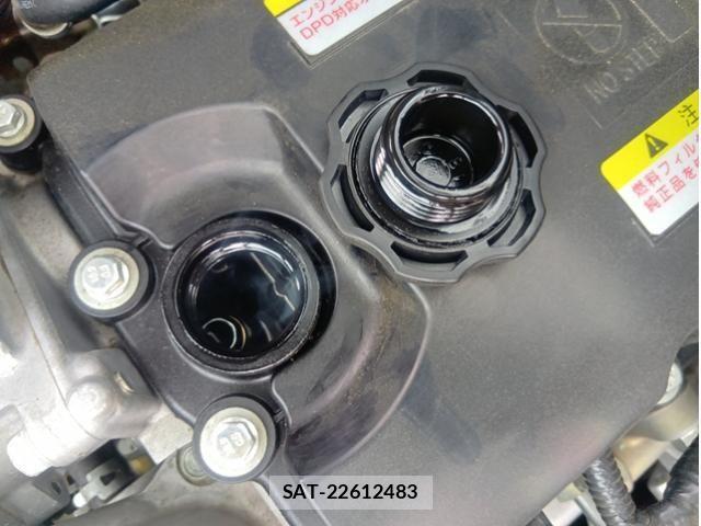 Isuzu ELF TRUCK 2022-06 6716091-16