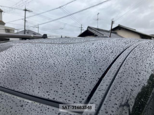 Nissan ELGRAND 2011-02 7357655-7