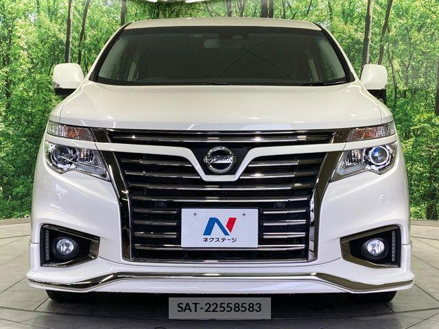 Nissan ELGRAND 2019-03 7357650-14