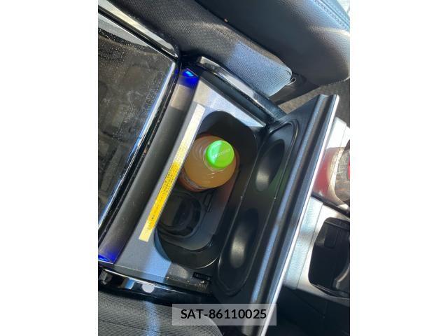 Nissan ELGRAND 2021-06 8365745-27