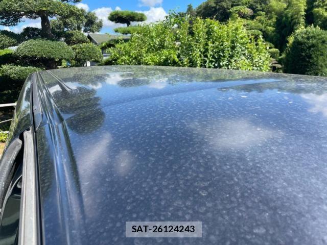 Nissan ELGRAND 2008-10 8365757-24