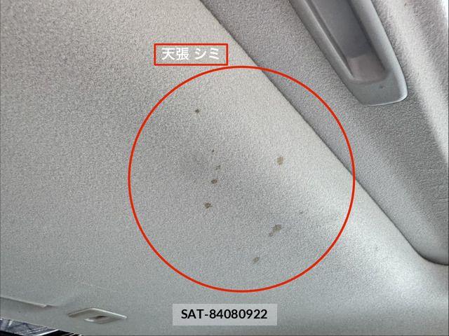 Nissan ELGRAND 2011-09 8685503-16