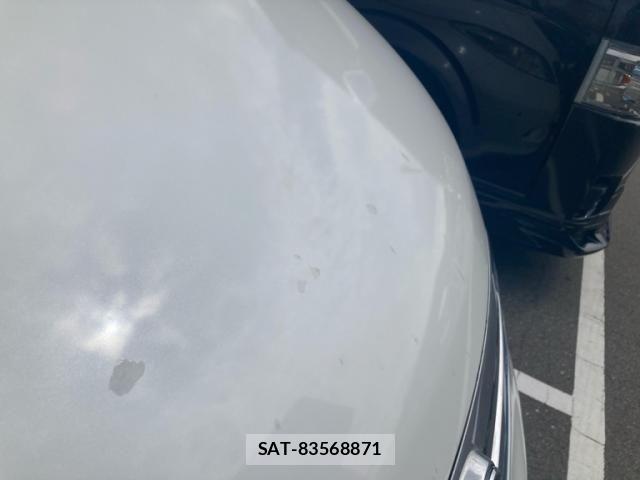 Honda ELYSION 2004-10 8412234-9