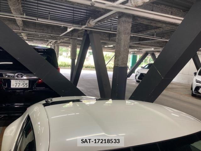 Nissan FAIRLADY Z 2009-06 7723256-3