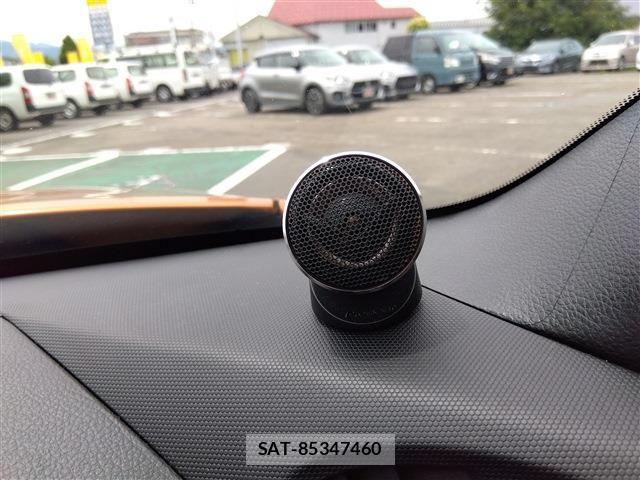Nissan FAIRLADY Z 2004-06 7902595-27