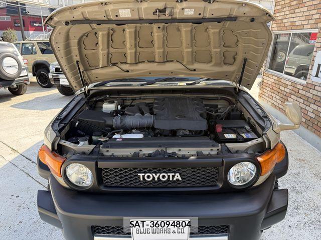 Toyota FJ CRUISER 2011-06 7218647-29