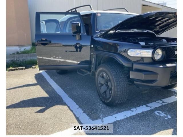 Toyota FJ CRUISER 2010-04 8659134-1