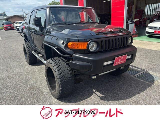 Toyota FJ CRUISER 2013-09 8780301-0