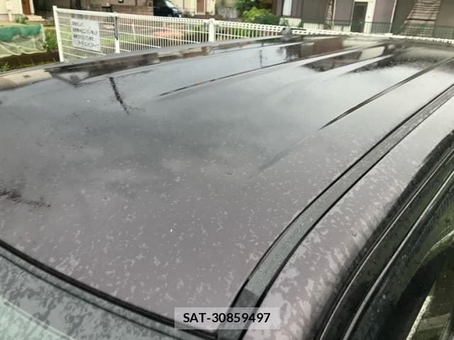Mazda FLAIR 2016-05 7902614-5