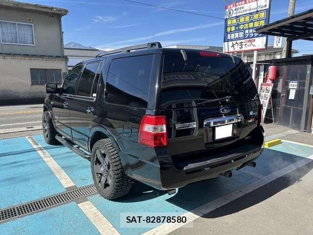 Ford EXPEDITION 2008-01 4139300-2