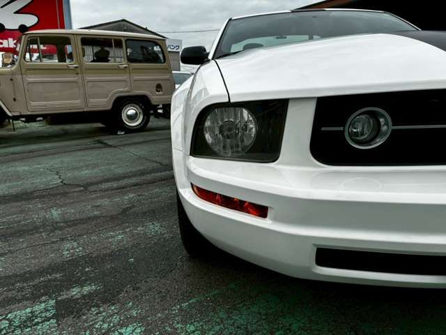 Ford MUSTANG 2008-06 1545245-9