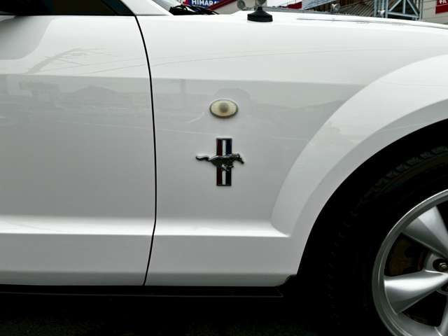 Ford MUSTANG 2008-06 1545245-10