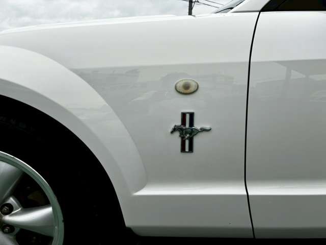 Ford MUSTANG 2008-06 1545245-11